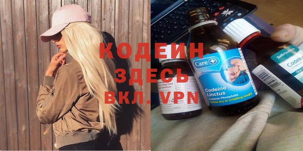 дурь Алексеевка